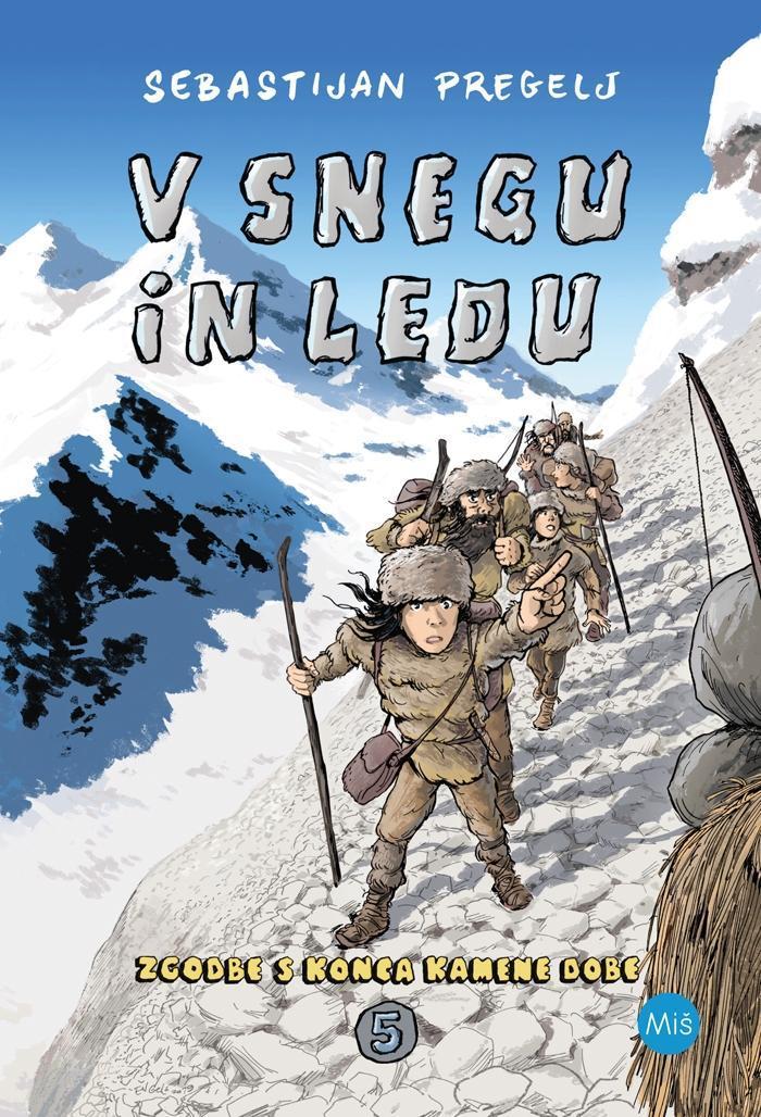 V snegu in ledu